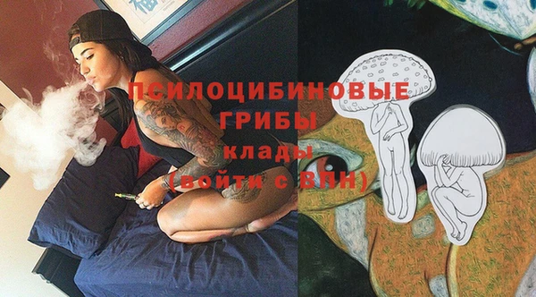трава Абаза