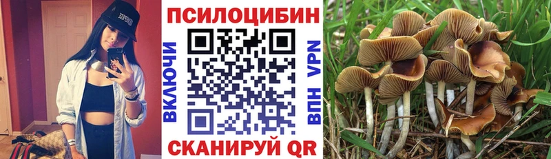 Галлюциногенные грибы Psilocybe  блэк спрут зеркало  Костомукша 