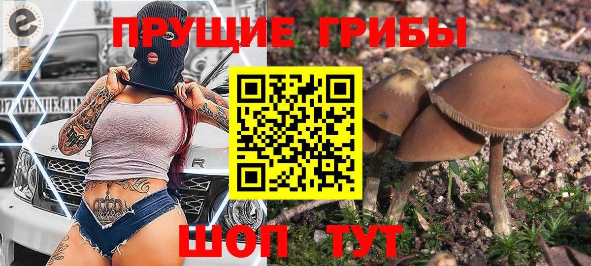 Псилоцибиновые грибы мицелий Костомукша